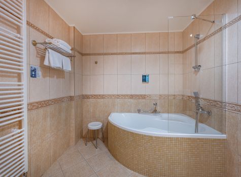 Centrální Lázně Health Spa Hotel - HOTEL CENTRALNI LAZNE_room Apartma (17)