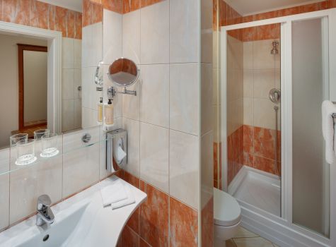 Centrální Lázně Health Spa Hotel - HOTEL CENTRALNI LAZNE_room_Superior Plus_SGL_207_bath_16A6624