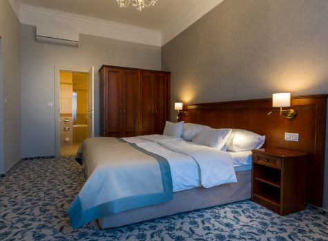 Centrální Lázně Health Spa Hotel - Hotel Centralni lazne Appartma 113 (6 of 19)