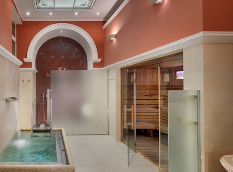 Hotel Maria Spa  - HOTEL NOVE LAZNE_sauna_16A4829