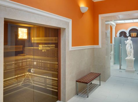Hotel Maria Spa  - HOTEL NOVE LAZNE_sauna_16A4974