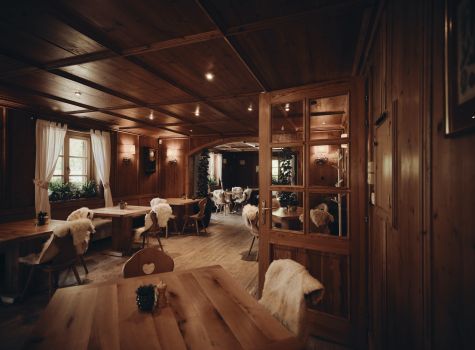 Hotel Plesnik - Logarska dolina - Suzan Gabrijan (15)