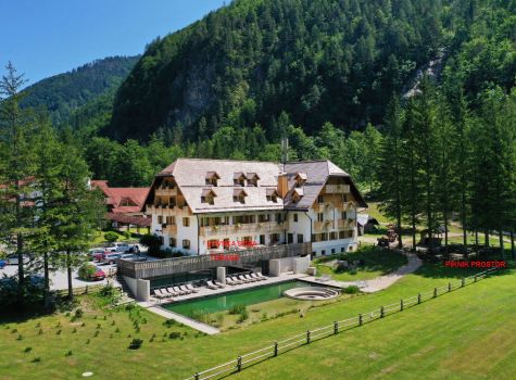 Hotel Plesnik - Logarska dolina - HOTEL - TERASA, LOVSKA SOBA IN PIKNIK
