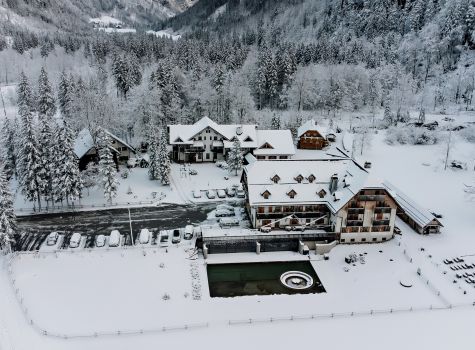 Hotel Plesnik - Logarska dolina - Milos in Natasa HOrvat (15)