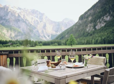 Hotel Plesnik - Logarska dolina - Plesnik view DSCF2894