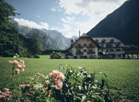 Hotel Plesnik - Logarska dolina - Suzan Gabrijan 46