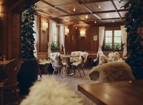 Hotel Plesnik - Logarska dolina - Suzan Gabrijan (17)