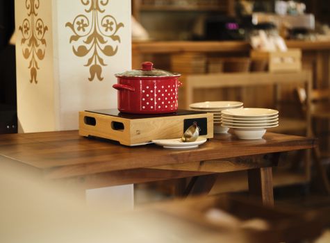 Hotel Plesnik - Logarska dolina - Suzan Gabrijan (27)