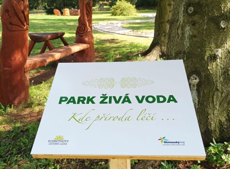 Wellness hotel Villa Grohmann**** - 4B984732-8221-4553-B54E-6C80129CCD08