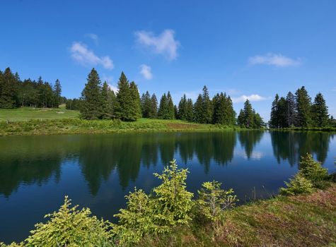 Kope Mountain Resort**** - k2zpIFtA