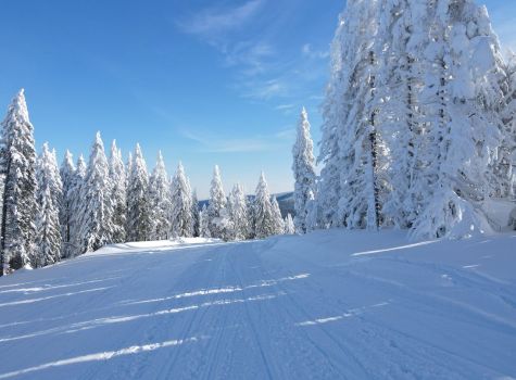 Kope Mountain Resort**** - pEI70mqQ