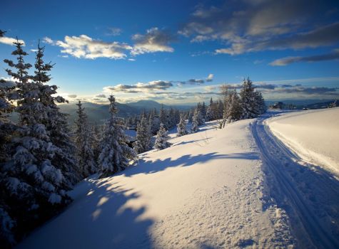 Kope Mountain Resort**** - w4GEussQ