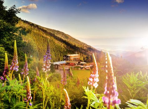 Hotel Srdiečko - 1._foto_5ed4c7642a312