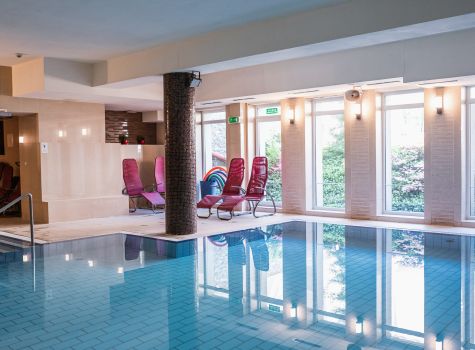 Hotel Niemcza Winnica & Spa  - basen wewnetrzny