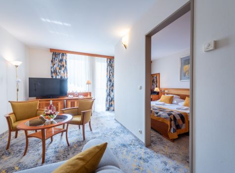 Hotel Palace Hevíz - 1-35