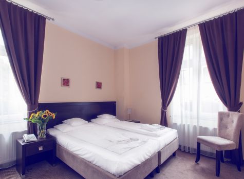 Hotel Niemcza Winnica & Spa  - standard