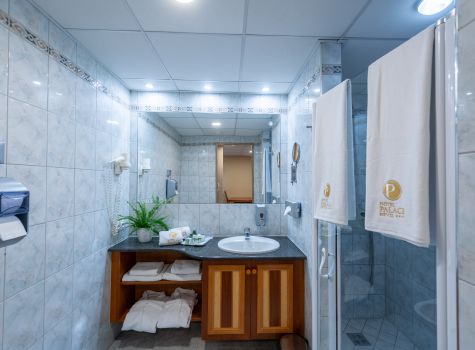 Hotel Palace Hevíz - 1-45