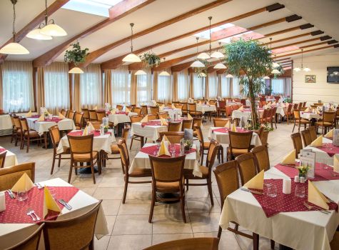 Hotel Palace Hevíz - DSC_3674