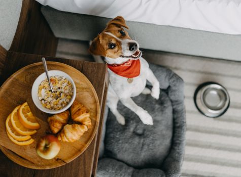 Elements Hotel & Spa - 2I4A2127