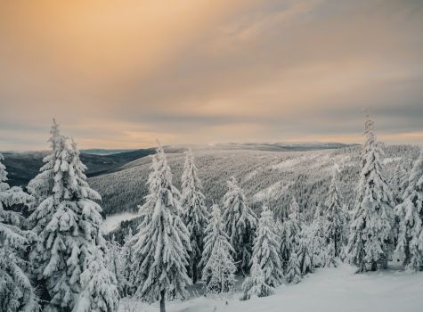 Forest Park Resort & Spa - IMG_4440