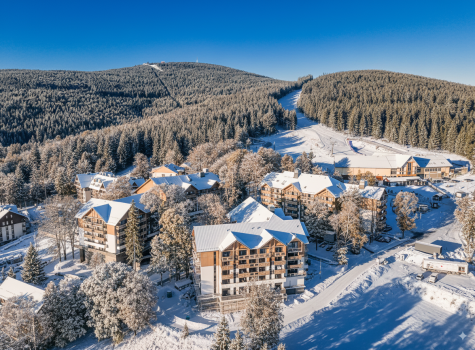Forest Park Resort & Spa - Forest-zima gory