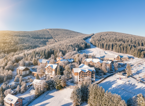 Forest Park Resort & Spa - panorama-zima