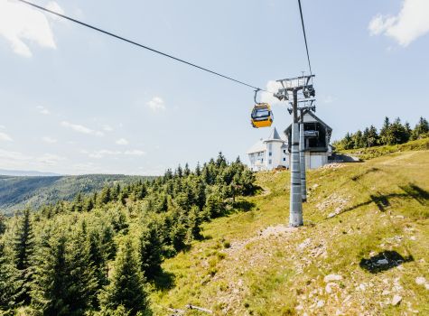 Forest Park Resort & Spa - IMG_1241