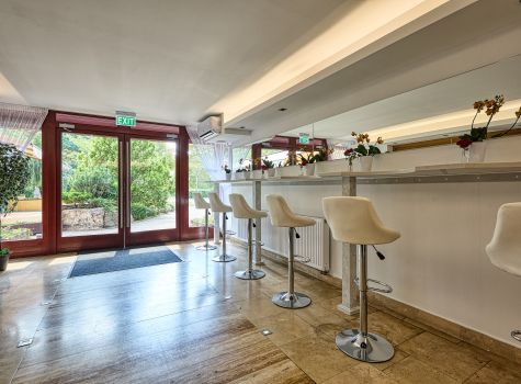 Hotel Bassiana**** - Hotel_Bassiana_portfolio 0369