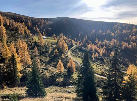 Hotel Almrausch - Herbst_@barbaradrews_3