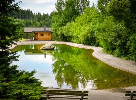 Hotel Schwarz Alm Zwettl - Almteichthütte_Spiegelteich (c) Schwarz Alm Zwettl