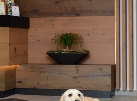 Hotel Schwarz Alm Zwettl - Hunde Willkommen (c) Schwarz Alm Zwettl