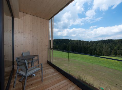 Hotel Schwarz Alm Zwettl - saphir2
