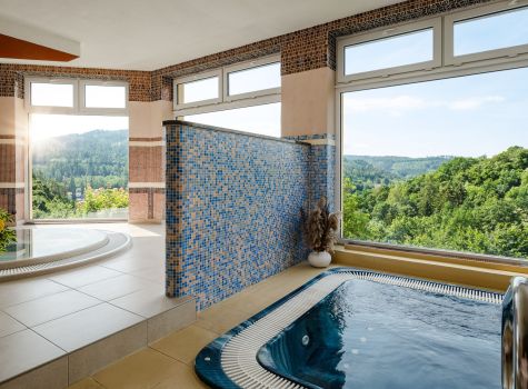 Lázeňský hotel Nivamare - Loutocky_COM_DSC_8821-Edit_web