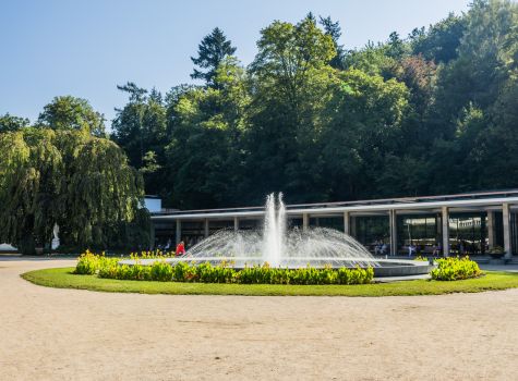 Lázeňský hotel Nivamare - 240809_EvkaNeuman_ROYALSPA_Luhacovice_small_00093