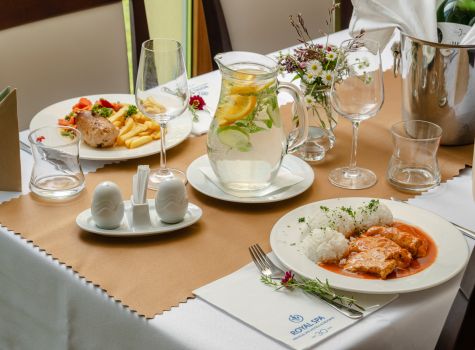 Lázeňský hotel Nivamare - Loutocky_COM_DSC_9097_web