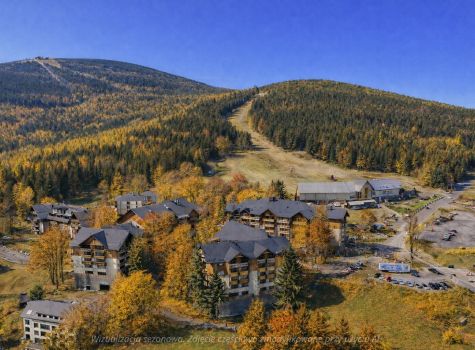 Forest Park Resort & Spa - Wizualizacja sezonowa. Zdjęcie częściowo zmodyfikowane przy użyciu AI. 01