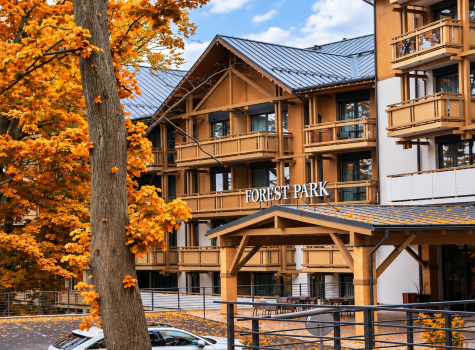 Forest Park Resort & Spa - ChatGPT Image 7. 9. 2026 08_47_40