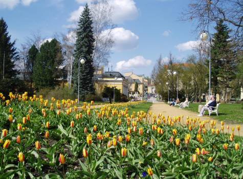 Goethe Spa & Medical Hotel - FrLazne_Jiraskova_ulice.JPG