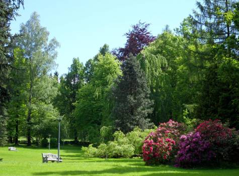 Hotel Lesní Zátiší*** - Lázeňský park - léto.JPG