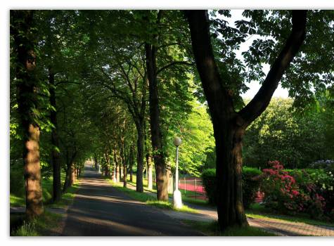 Hotel Lesní Zátiší*** - Lázeňský park 2.jpg