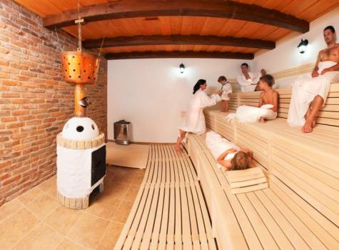 Hotel Niva - herba sauna.jpg