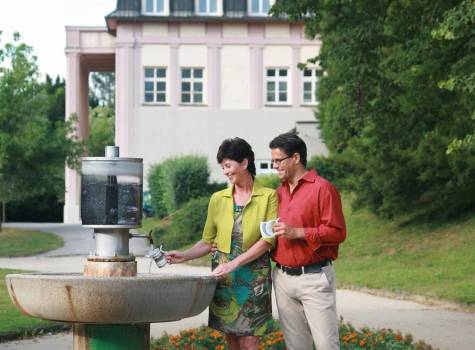 Lázně Luhačovice Vila Alpská růže - IMG_0314.JPG