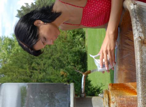 Lázně Luhačovice Vila Alpská růže - Pramen Dr. Šťastného.JPG