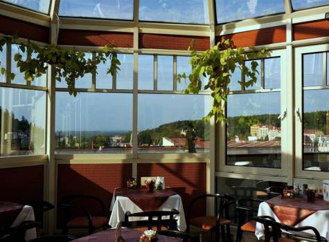 Hotel Flora Mariánské Lázně - vinárna.jpg