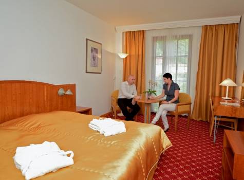 OREA Spa Hotel Cristal - dvouluzkovy_pokoj