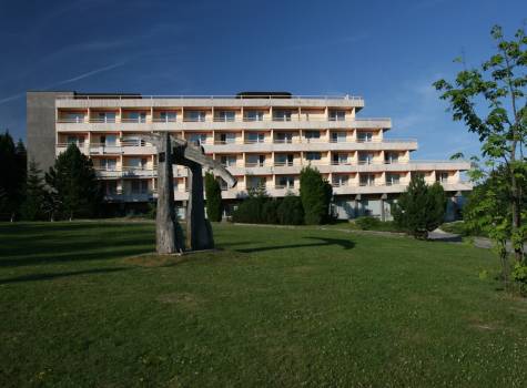 Hotel Travertín - Travertin I - 2