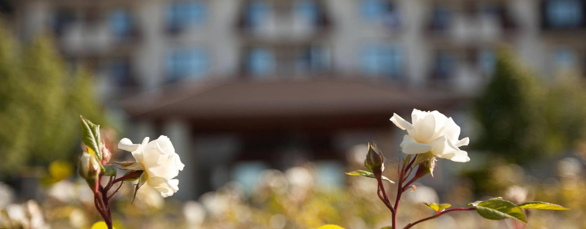 Greenfield Hotel Golf & Spa**** - Pobyt na míru 2021