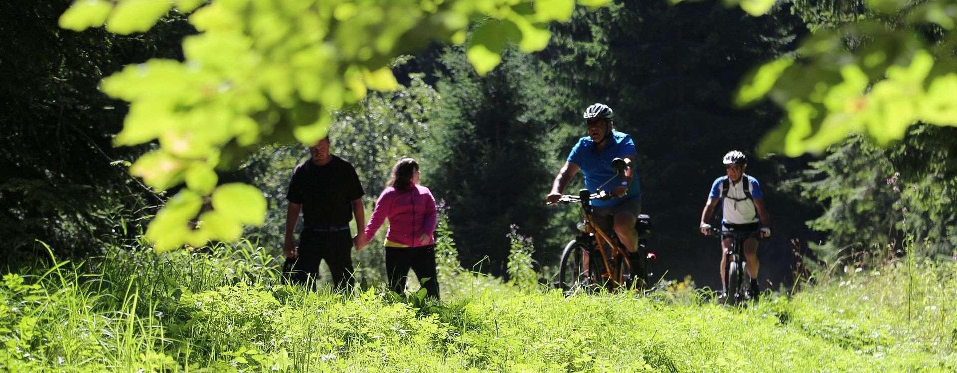 Hotel Srní a depandance Šumava - Pobyt Vital, 2&nbsp;noci