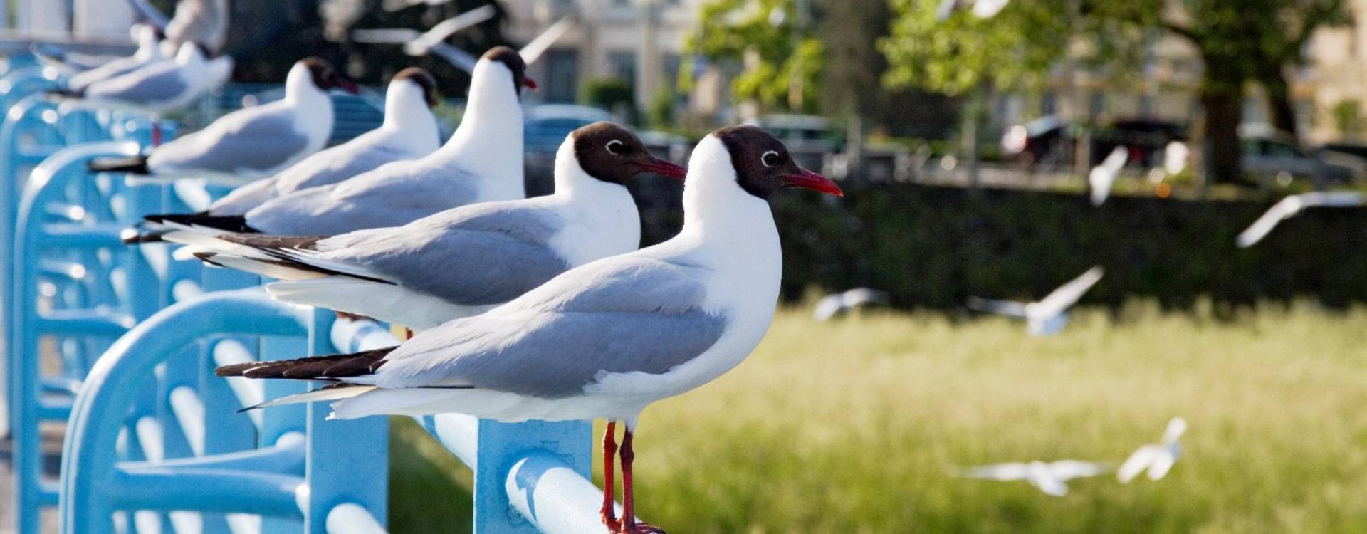 Splendid Ensana Health Spa Hotel - Chuť Piešťan, 3&nbsp;noci
