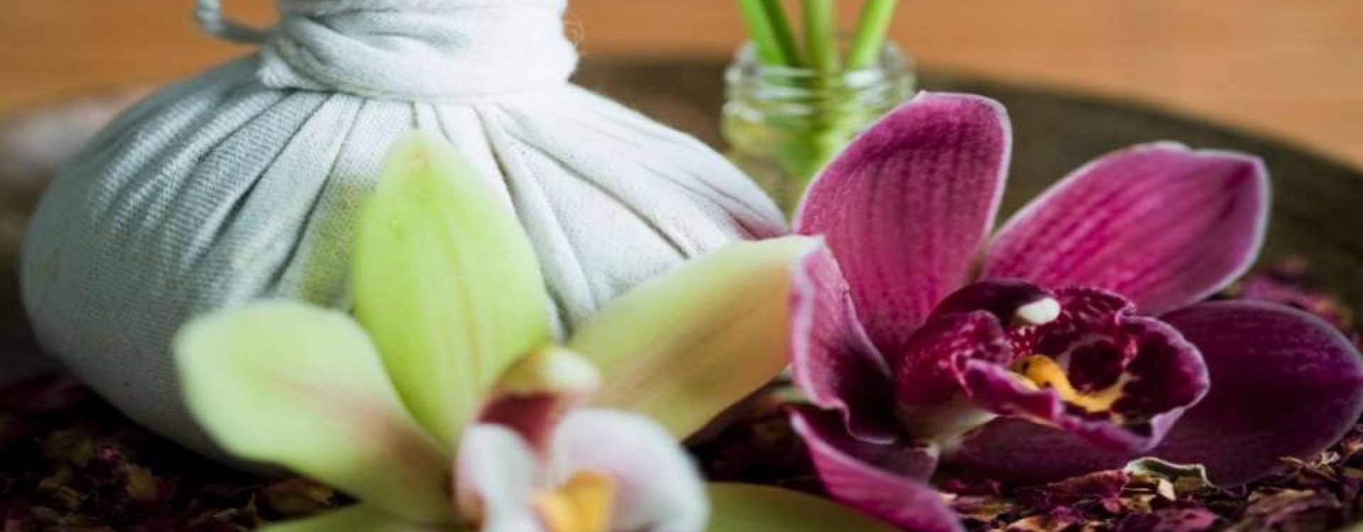 Wellness hotel CHOPOK - Detoxikační poby